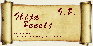 Ilija Pecelj vizit kartica